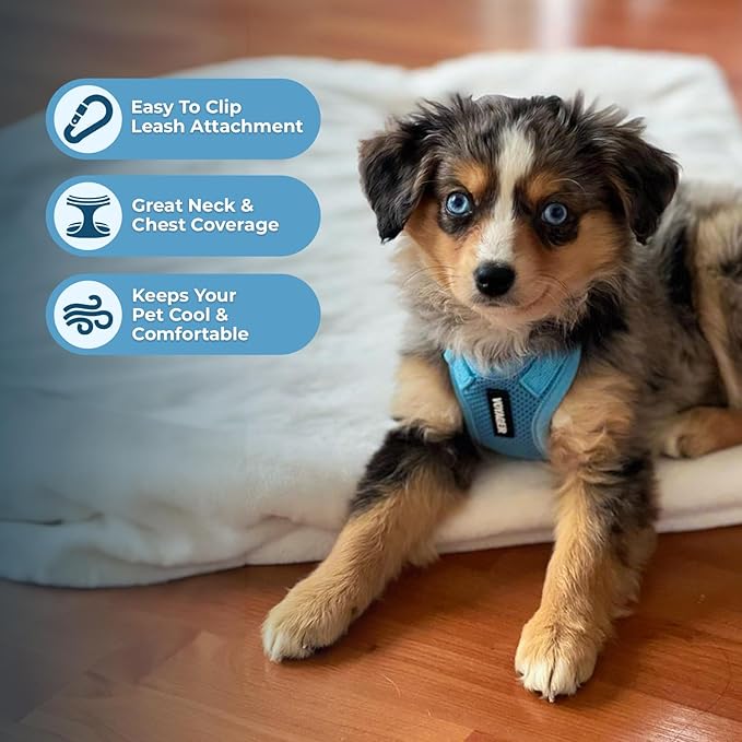 Voyager Step-in Pet Harness - Image 3