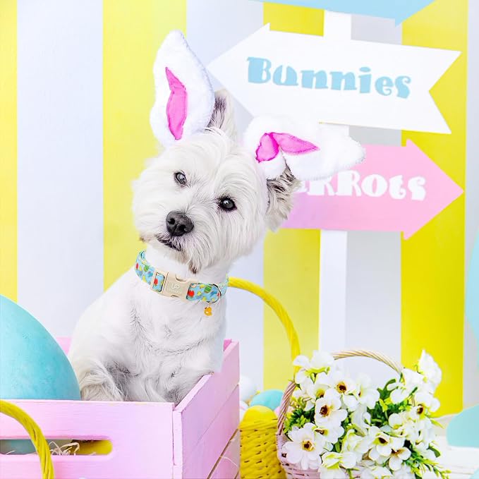 Easter Day Dog Collar, UP URARA PUP Easter Bunny Adjustable Pet Collar - Image 5