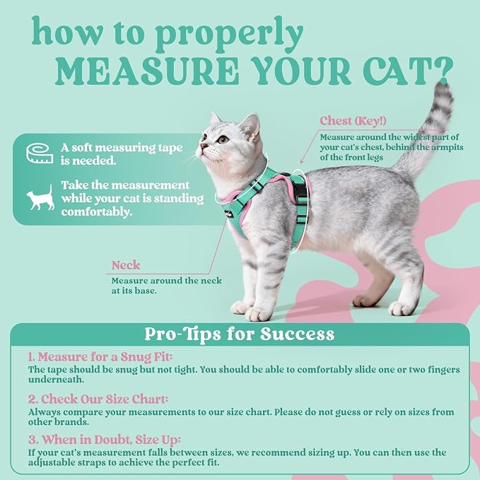 rabbitgoo Cat Harness and Leash - Image 2