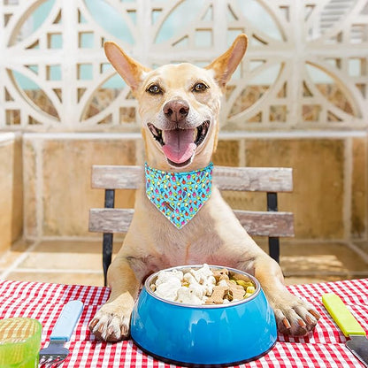 Summer Dog Bandana, Hawaii Bandana - Image 6