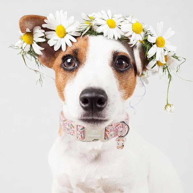 Easter Dog Collar for Small Dogs - Image 2