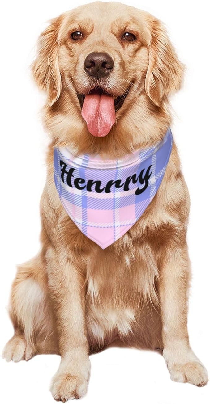 Custom Pet Scarf Personalized Dog Bandana - Image 8