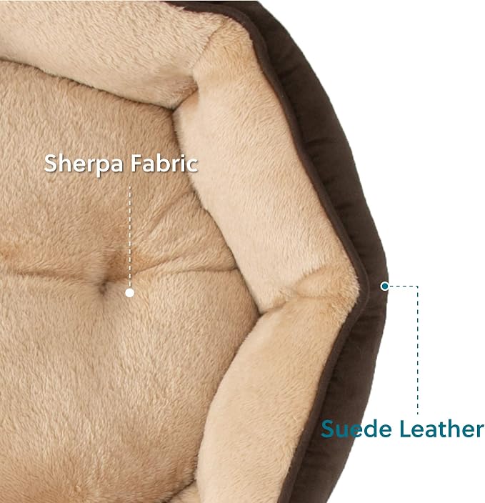 Bedsure Dog Beds for Small Dogs - Image 4