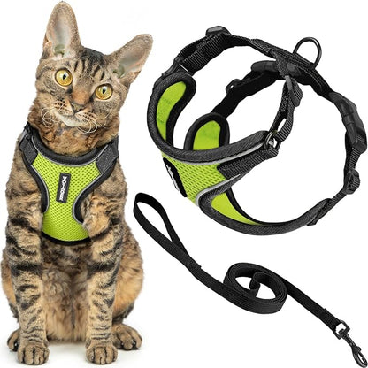 Voyager Escape-Proof Step-in Lock Cat Harness & 5ft Neoprene-Handle Leash Set by BestPetSuppliesLLC