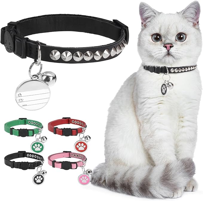 Leather Personalized Breakaway Cat Collar by DILLYBUD