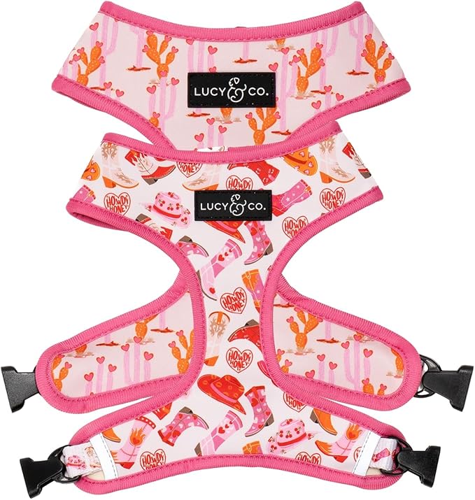 Lucy & Co. Cute Reversible Dog Harness Walking Halter by LucyCo