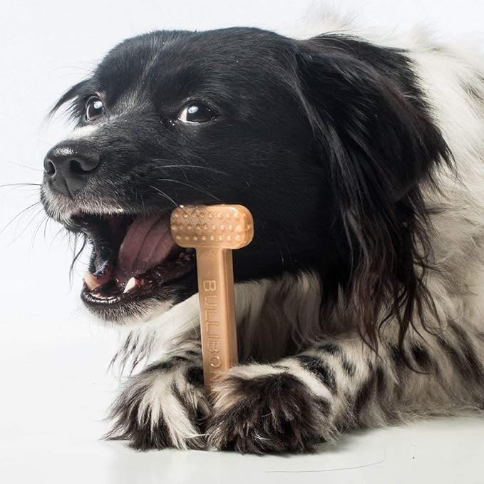 Bullibone Nylon Dog Chew Toy for Aggressive Chewers - Image 7