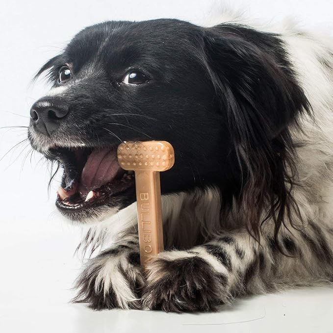 Bullibone Nylon Dog Chew Toy for Aggressive Chewers - Image 9