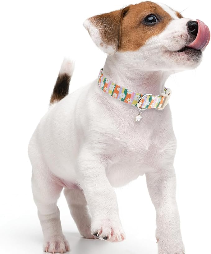 Faygarsle Colorful Floral Dog Collar, Cotton Fabric - Image 6