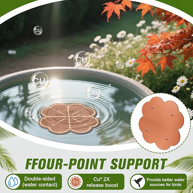 Bird Bath Copper Disk, Four-Point Support Design 99.99% Pure Copper Cleaning - Image 3