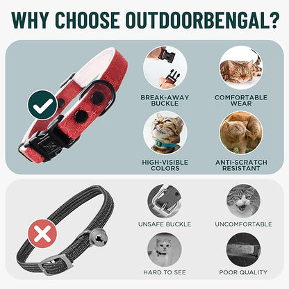 OutdoorBengal Orange Breakaway Kitten Collar - Image 3
