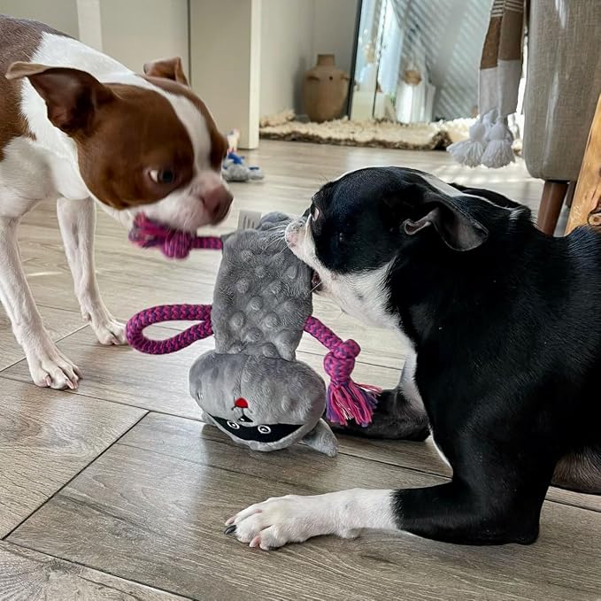 rocket & rex Dog Chew Toy Set for Small to Medium Breeds, Includes a Stuffing - Image 4