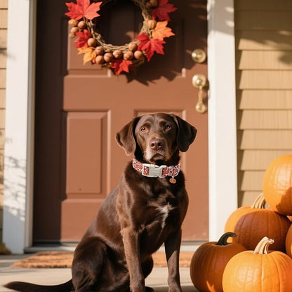 DOGWONG Pumpkin Dog Collar- Cute Pink Fall Dog Collars Adjustable Maple Fall - Image 5