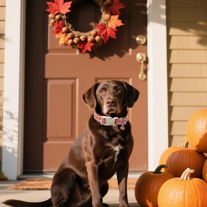 DOGWONG Pumpkin Dog Collar- Cute Pink Fall Dog Collars Adjustable Maple Fall - Image 5