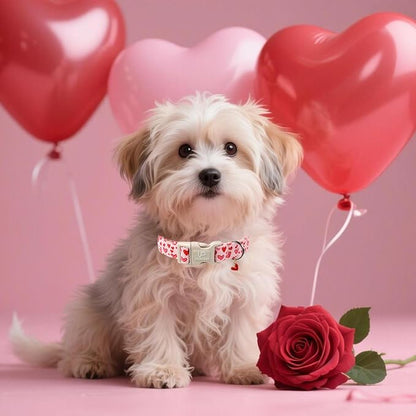 Valentine's Dog Collar, UP URARA PUP Pink Heart in Red Adjustable Pet Collar - Image 5