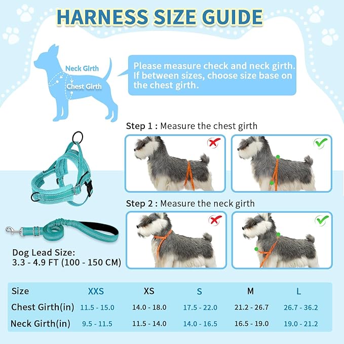 SlowTon No Pull Small Dog Harness and Leash Set, Puppy Soft Vest Harness Neck & - Image 5