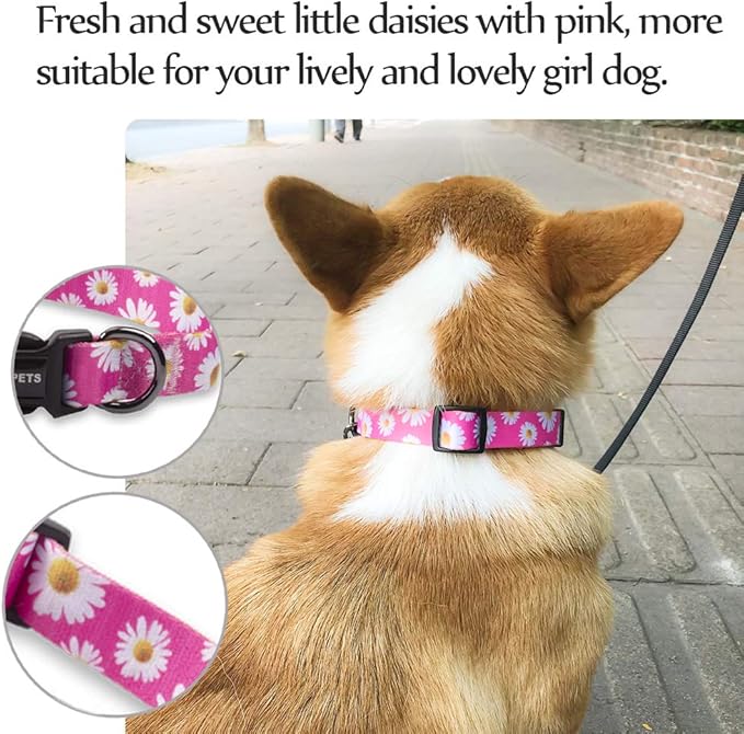 QQPETS Adjustable Soft Dog Collar: Print Flower Pink Multicolor Cute Patterns - Image 9