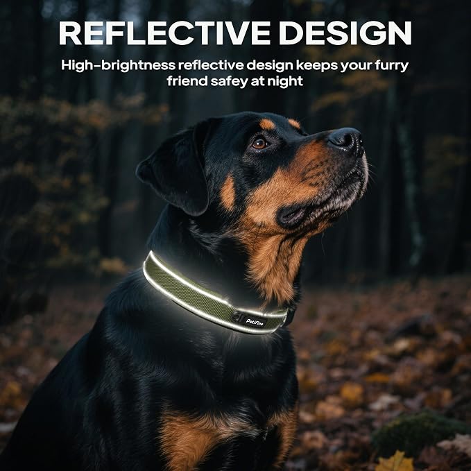 PetiFine Dog Collars for Medium Dogs, Neoprene Padded and Adjustable, - Image 5