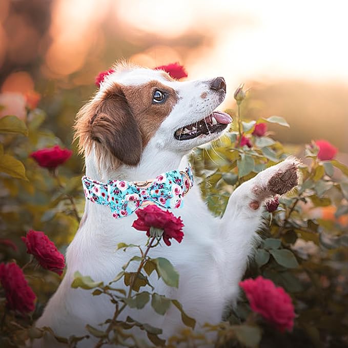 Elegant little tail Dog Collar, Rose Print Pet Collar Summer Dog Collar Durable - Image 6