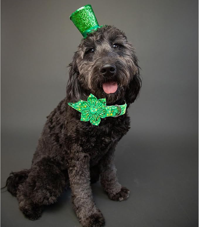 Lionheart glory St. Patrick's Day Dog Collar - Image 4