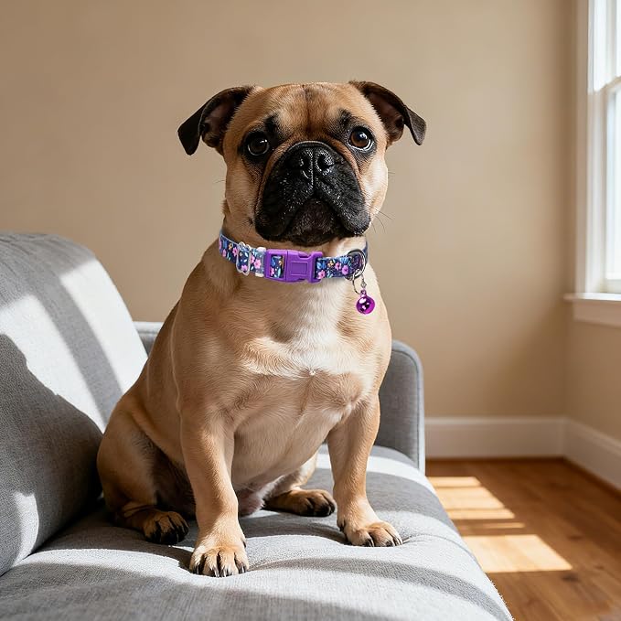 Nylon Dog Collar with Bell for Small Dogs, Adjustable Puppies, Kittens & Small - Image 4