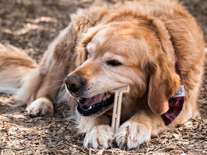 Bullibone Nylon Dog Chew Toy for Aggressive Chewers - Image 3