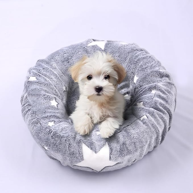Glow in The Dark Dog Bed Cover - Image 2