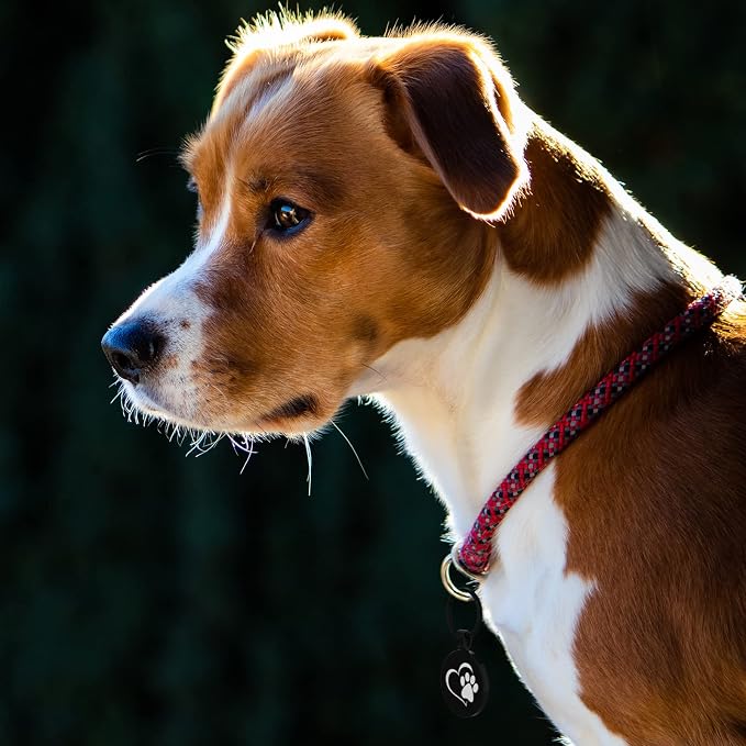MYLUCKYTAG QR Code Pet ID | Personalized Dog & Cat Collar Tag | Online Profile - Image 3