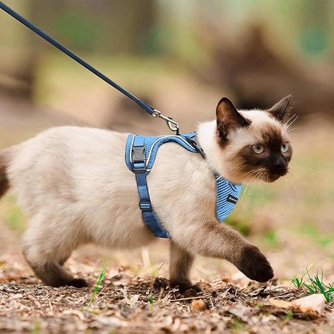 Cat Harness and Leash Set for Walking Escape Proof, Improved Four Place - Image 5