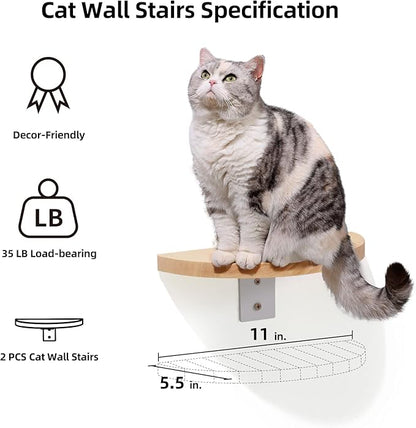 FUKUMARU Cat Wall Furniture Set, Transparent Capsule Kitten Walls Shelves - Image 3