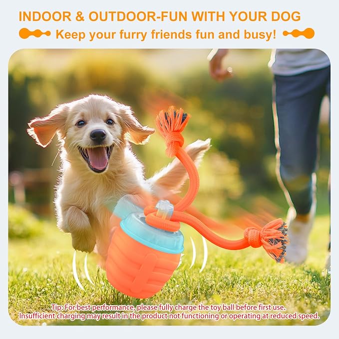 Interactive Dog Toy, Motion Activated Rolling Squeaky Ball - Image 2