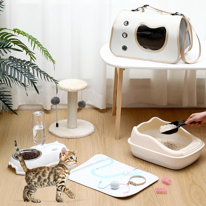Eccliy Kitten Starter Kit, Pet Toy, Folding Carrier, Climbing Frame, Automatic - Image 2