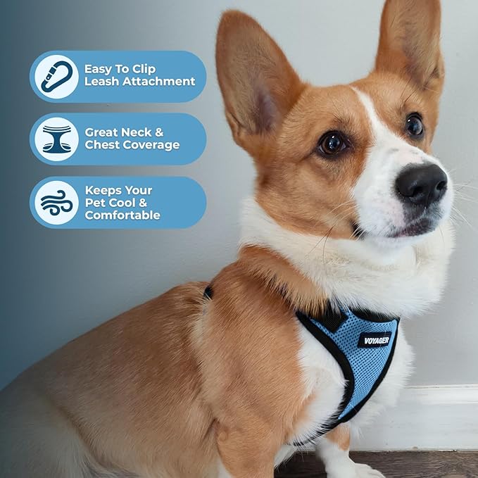 Voyager Step-in Pet Harness - Image 3