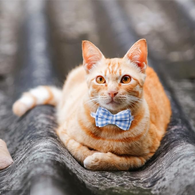 AIITLE Breakaway Cat Collar - Image 4