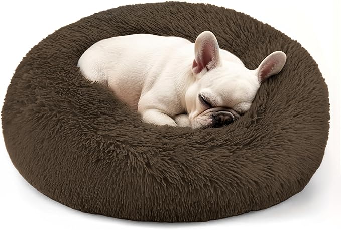 Hoewina Dog & Cat Bed, 20in Cat Beds by Hoewina