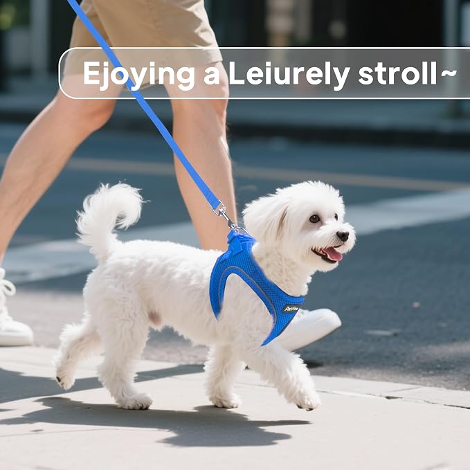 PetiFine Step in Small Dog Harness and Leash Set, Breathable All Weather Air - Image 7