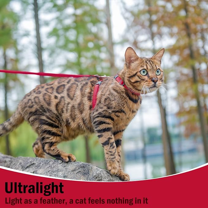 PUPTECK Adjustable Cat Harness and Leash Set Escape Proof Kitten Strap Collar - Image 4