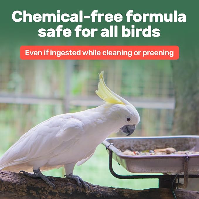 Aloe Vera Bird Spray - Image 4