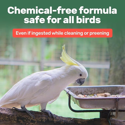 Aloe Vera Bird Spray - Image 4
