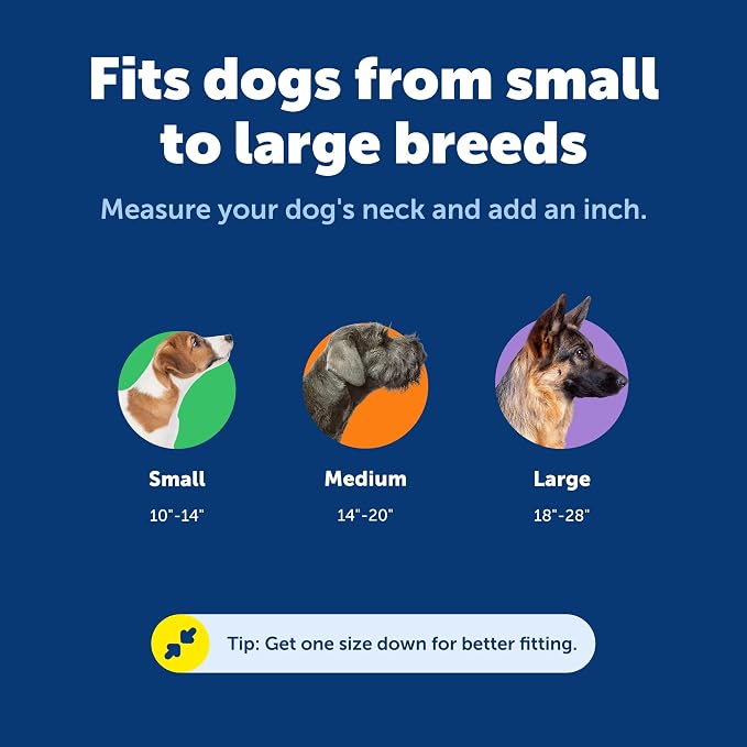 PetSafe KeepSafe Collar for Dogs - Image 5