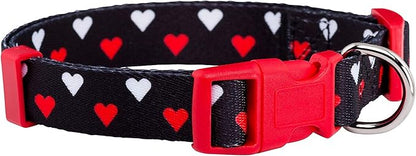 Native Pup Valentine’s Dog Collar- Valentines Day Pet Collars- Valentine Girly by NativePup