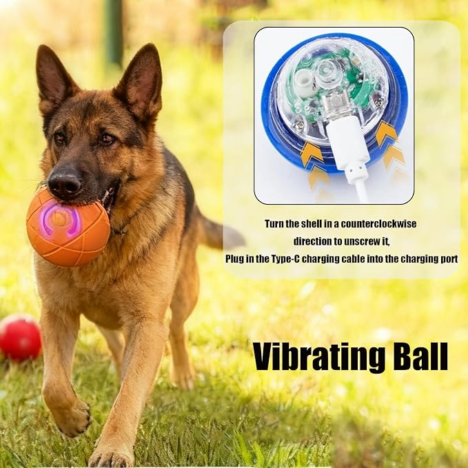Valentines Day Gifts Dog Balls Interactive Dog Toys 2pc Shaky Ball Toy - Image 7