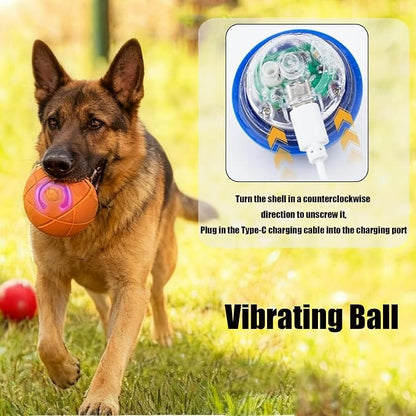 Valentines Day Gifts Dog Balls Interactive Dog Toys 2pc Shaky Ball Toy - Image 7