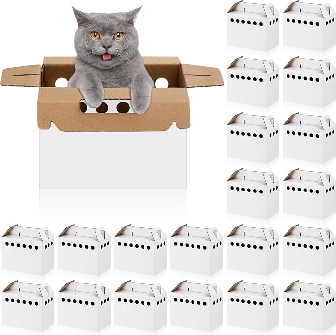 Tenceur 20 Pack Cardboard Pet Carrier Disposable Small Animal Carrier White by Tenceur