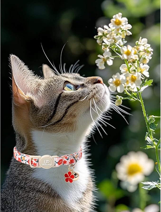 Cat Collar, Spring Green Leaf Flower Kitten Collar - Image 4