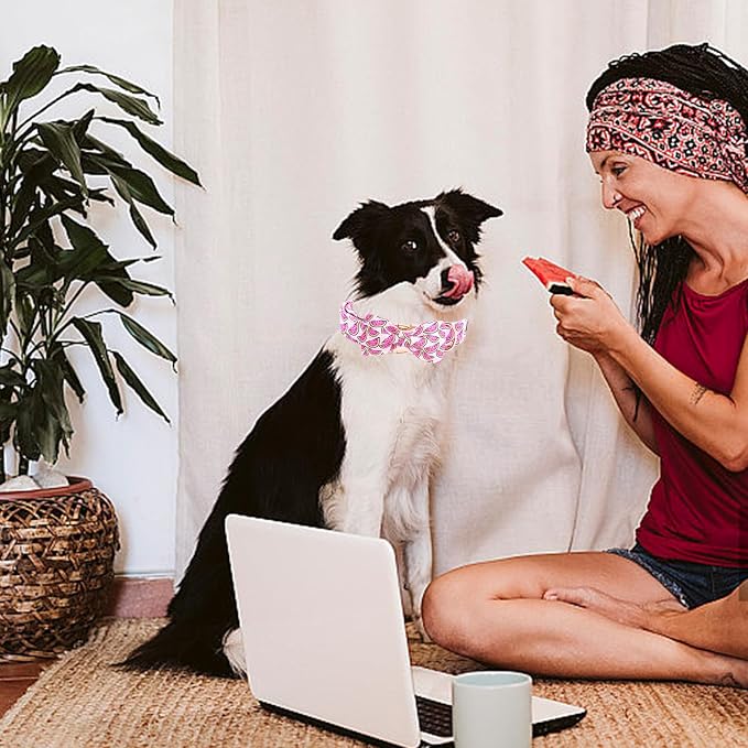 Elegant little tail Dog Collar, Watermelon Print Pet Collar Summer Dog Collar - Image 6