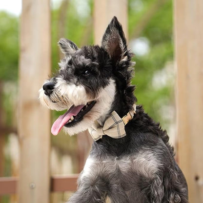 Beirui Cute Small Dog Harness Collar and Leash Set - Image 5