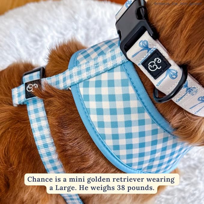 Lucy & Co. Dog Collar - Image 3