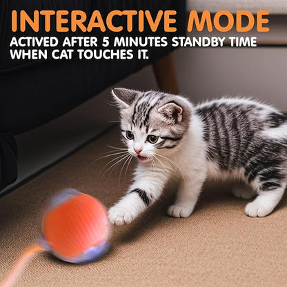 Rocfish Interactive Cat Toy for Indoor Cat, Smart Automatic Cat Chase Ball Toy - Image 6