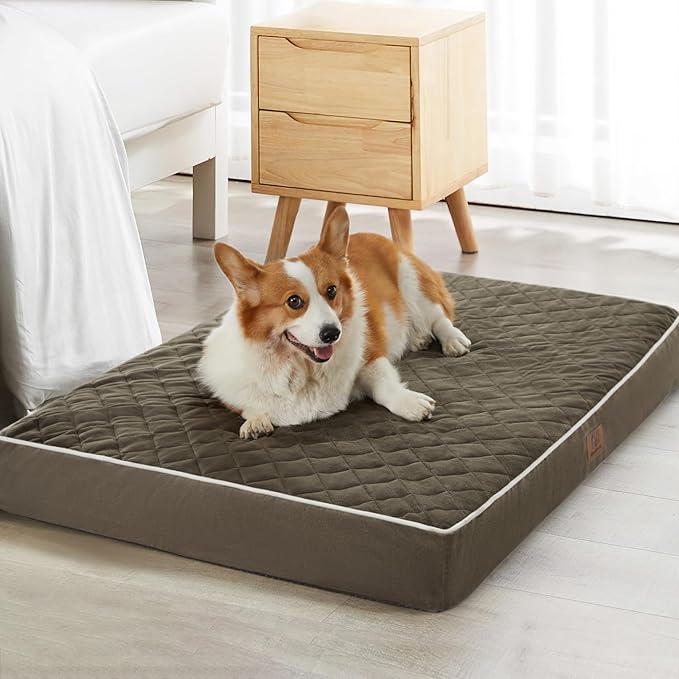 WNPETHOME Orthopedic Dog Bed Medium Size Dog, Waterproof Medium Dogs Bed by WNPETHOMEPETSHOME